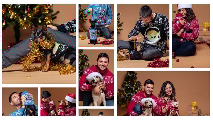 Cerdá Productos Disney para Navidad