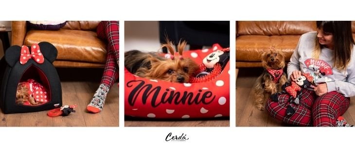 minnie-christmas-products