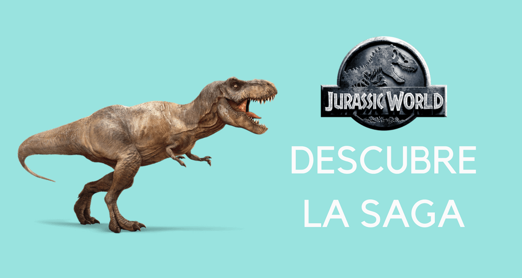 Blog Header 1024x545 (1)-14