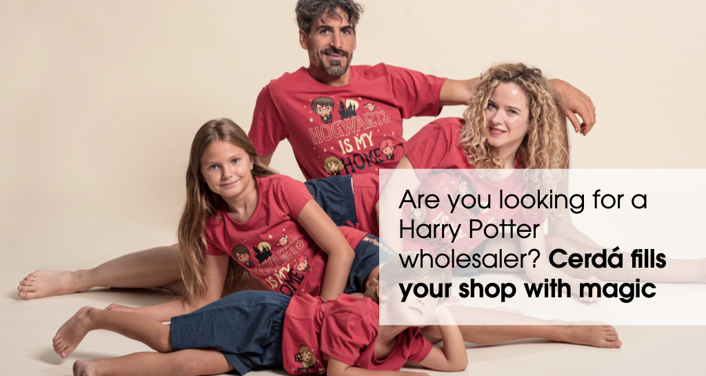 Are you looking for a Harry Potter wholesaler? Cerdá fills your shop with magic