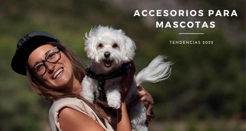 accesorios para mascotas tendencias