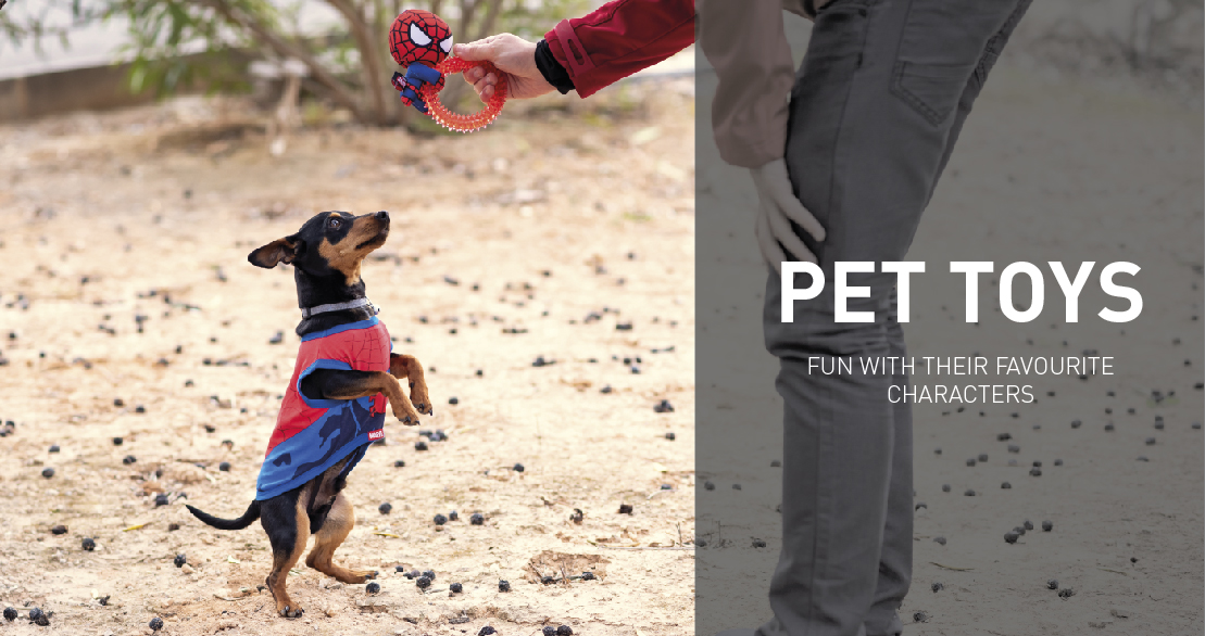 Pet toys: fun with their favourite characters
